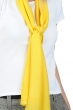 Cashmere & Seta cashmere donna sciarpe foulard scarva tournesol 170x25cm